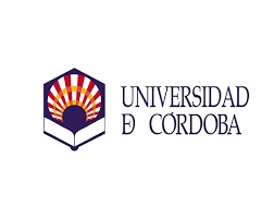 Lee más sobre el artículo La Universidad de Córdoba publica la lista definitiva de admitidos para el proceso selectivo de Técnico Superior en Laboratorio