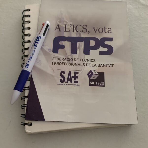 Elecciones ICS
