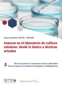 Lee más sobre el artículo Cursos exclusivos del 1 semestre de 2026