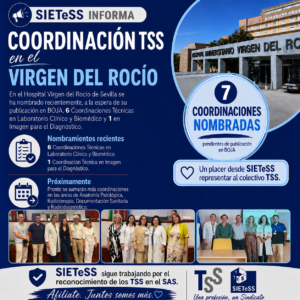 Lee más sobre el artículo Coordinación TSS en el Virgen del Rocio de Sevilla